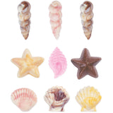 Wilton Candy Mould Seashells