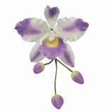 PME Cattleya Orchid Flower Petal Cutter Set 3 stuks